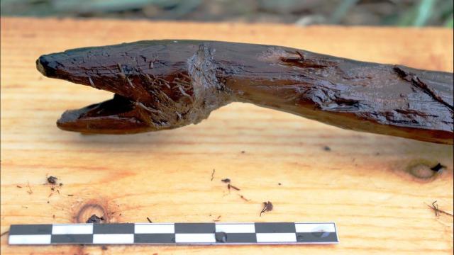 This Carved Snake May Have Been the Staff of a Stone Age Shaman