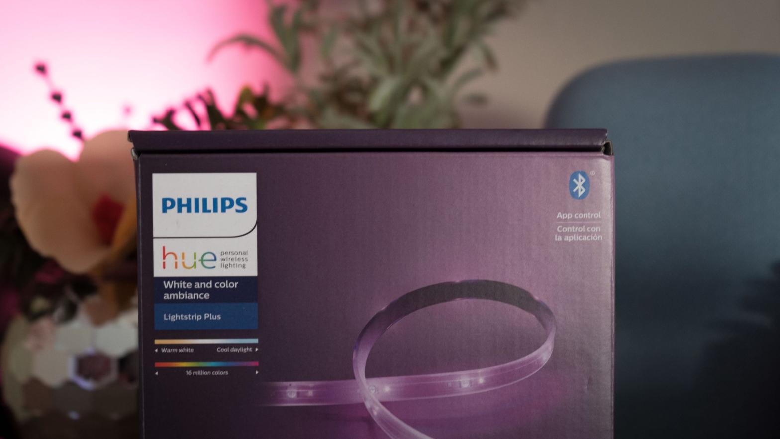 Philips Hue may soon have more, brighter bulbs to pair with the rest of its smart lighting lineup.  (Photo: Florence Ion/Gizmodo)