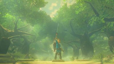 BOTW Fans Find Glitch That Lets You Get Master Sword Early