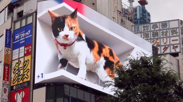 3D Billboard of Giant Cat Looks Less Impressive From Other Side of the Street