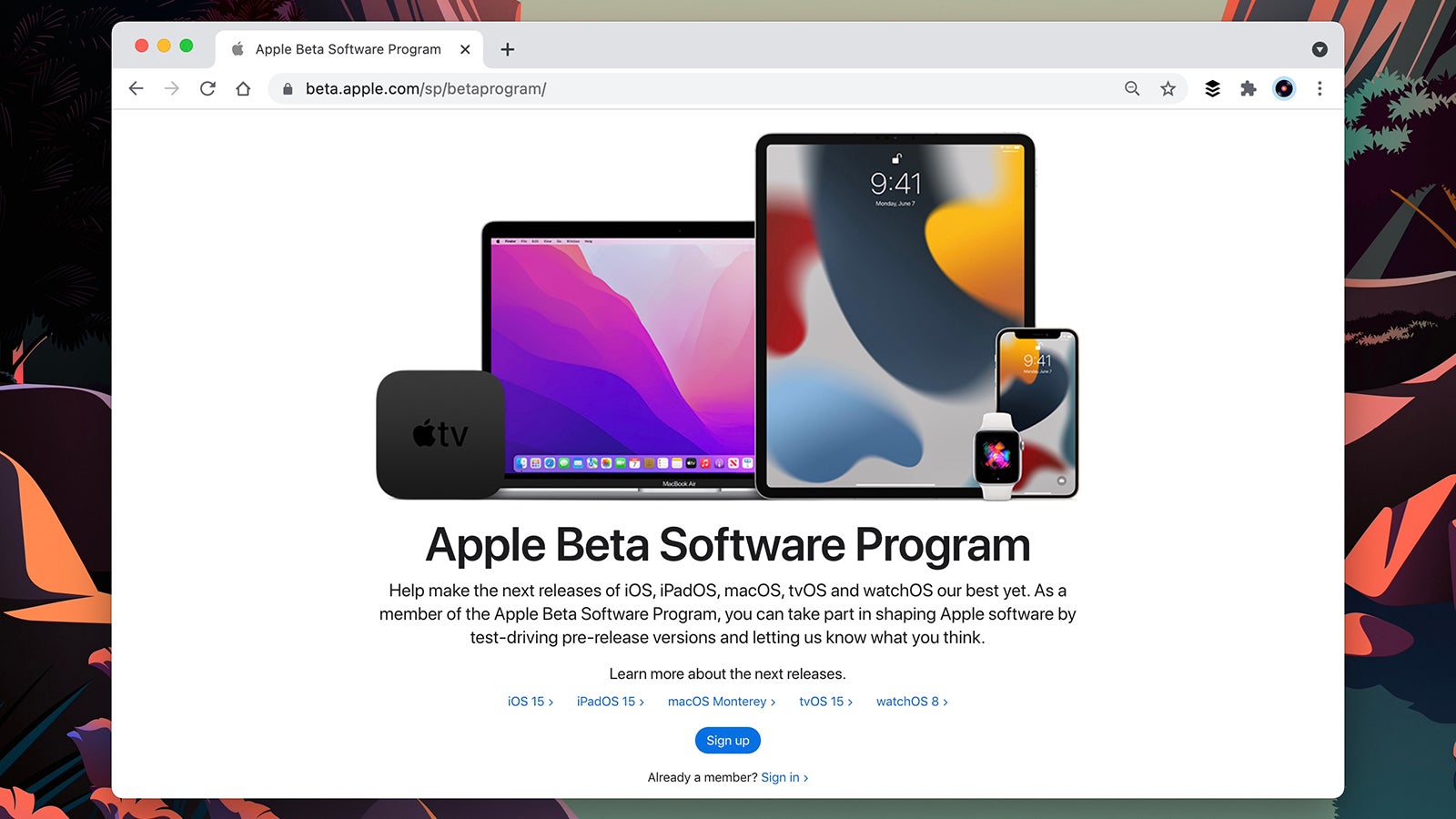 Apple has a well-publicised beta program. (Screenshot: Apple)