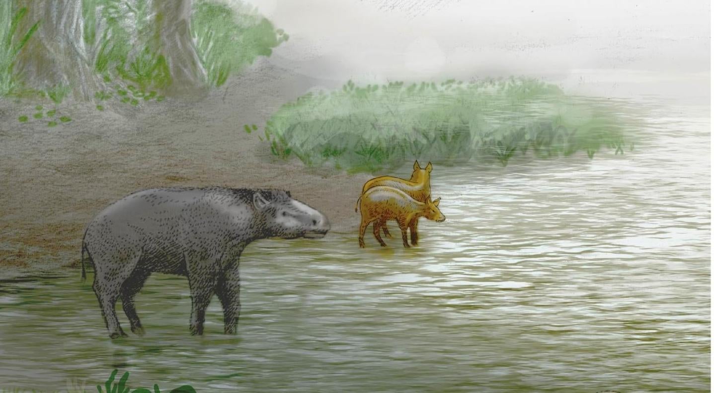 A rendering of newly described species Leptolophus cuestai by a lake. (Illustration: Ulises Martínez Cabrera)