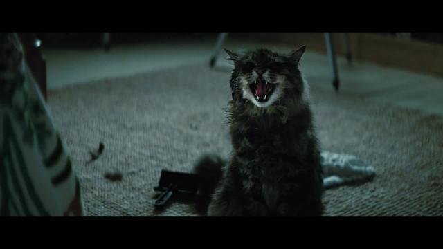 Pet Sematary is Getting a Prequel and Casting is Underway