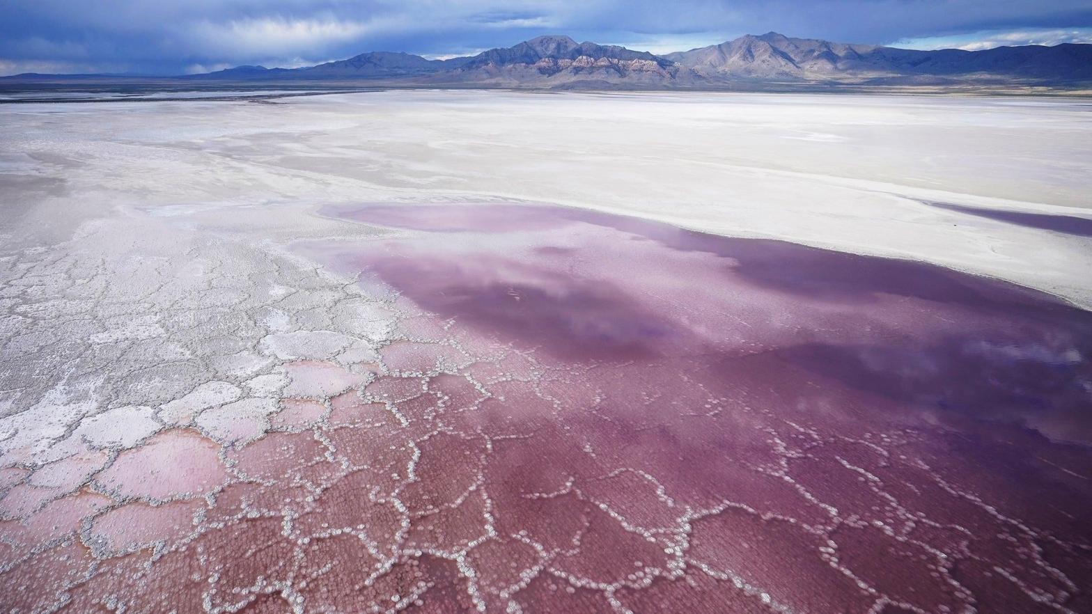 Pink water washes over a salt crust on May 4, 2021, along the receding edge of the Great Salt Lake. (Photo: Rick Bowmer, AP)