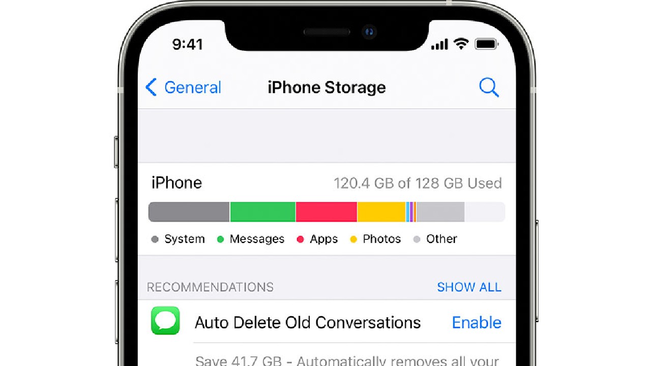 apple storage software update