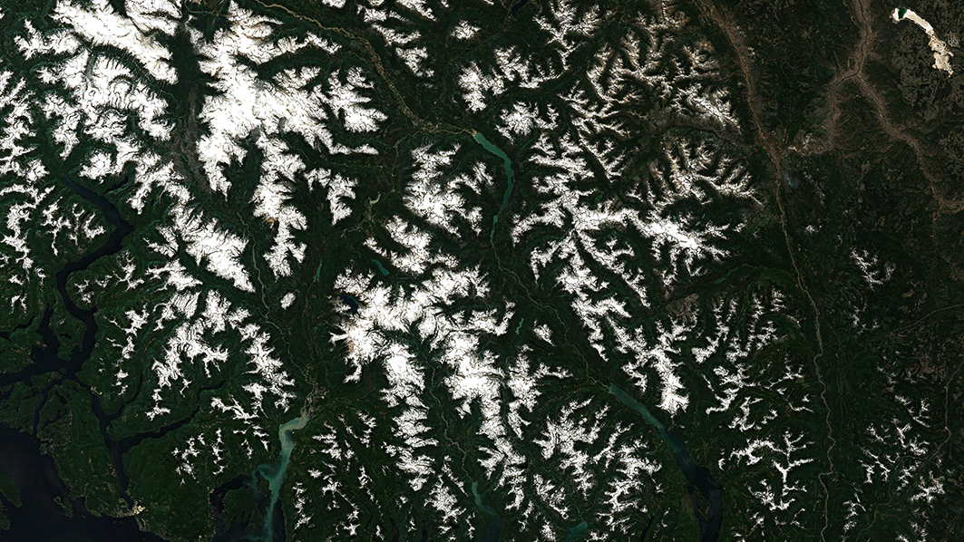 A satellite composite showing the Garibaldi Provincial Park on June 29, 2021 and July 14, 2021. A wildfire is visible in the far right of the July 14 image. (Gif: Brian Kahn/Sentinel Hub)