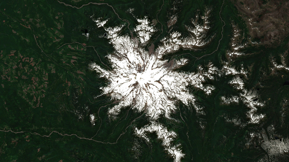 A satellite composite showing Mount Rainier on June 26, 2021 and July 11, 2021. Snowpack shrank across the Pacific Northwest following an all-time heat wave. (Gif: Brian Kahn/Sentinel Hub)