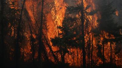 Study Finds Lung Damage in Firefighters Years After a Major Wildfire