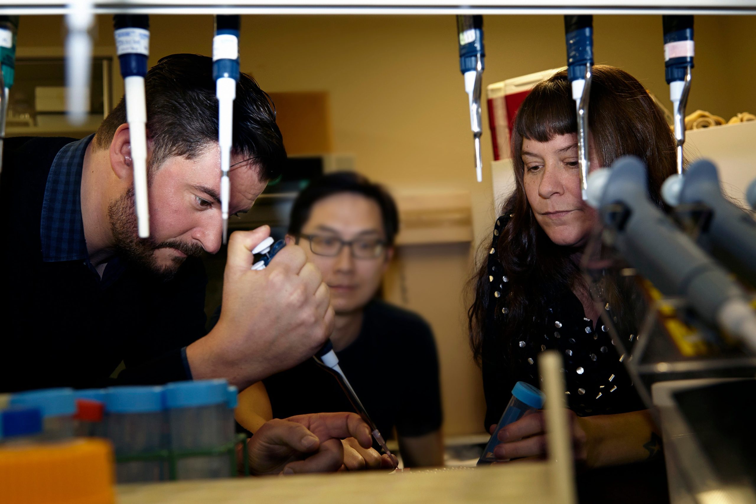 Study authors Felix Grewe and Corrie Moreau working in the Field Museum's Pritzker DNA Lab. (Photo: Field Museum)