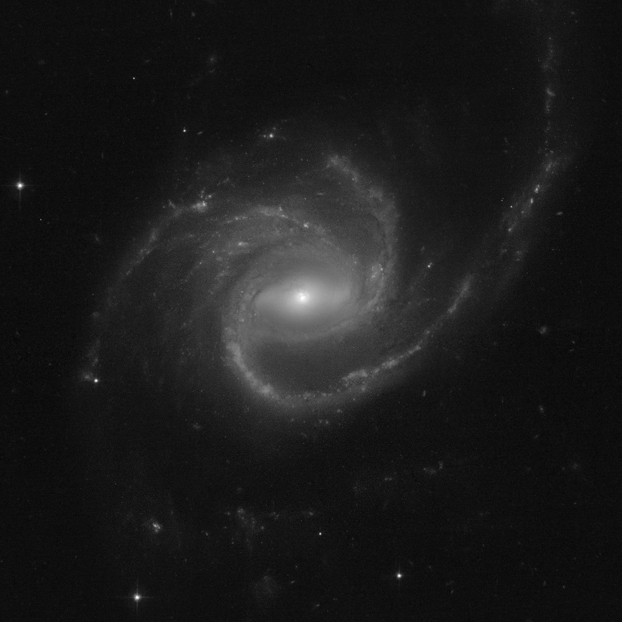  The large spiral galaxy ARP-MADORE0002-503. (Image: NASA, ESA, STScI, Julianne Dalcanton (UW), Alyssa Pagan (STScI))