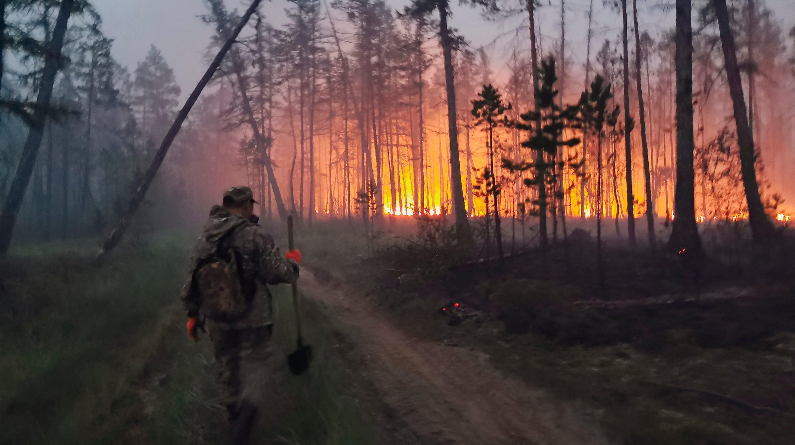 A volunteer heads to douse a forest fire in the republic of Sakha. (Photo: Ivan Nikiforov, AP)