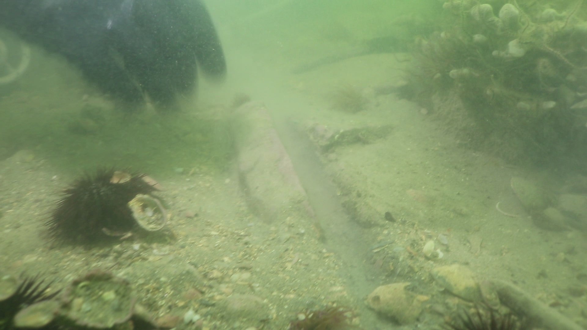 One of the stones found when the diving police unit checked out the site in 2020. (Image: Squadra Sommozzatori della Polizia di Stato di Venezia)