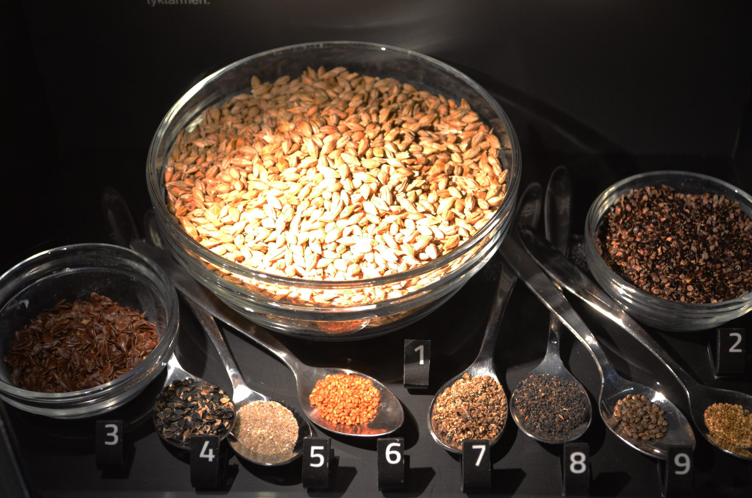 The main ingredients — not including the fish — in Tollund Man's last meal (shown in their relative quantities: 1) Barley, 2) pale persicaria, 3) flax, 4) black-bindweed, 5) sand, 6) gold-of-pleasure, 7) fat hen, 8) corn spurrey, 9) hemp-nettles and 10) field pansy. (Image: Museum Silkeborg)