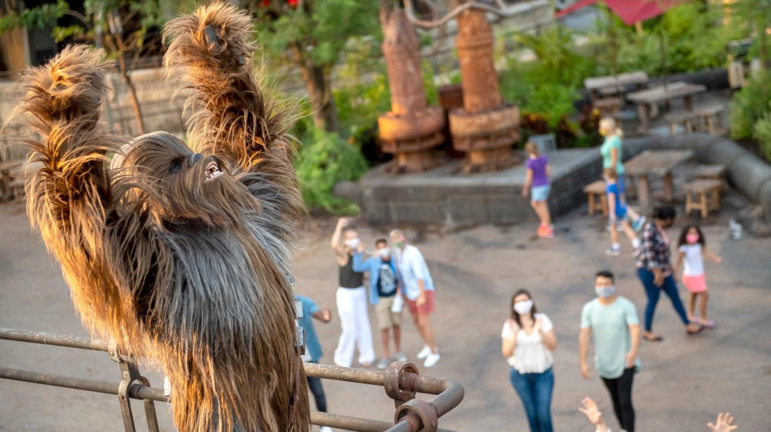 Chewbacca, the filthy ape creature of the so-called Warring Stars film franchise, seen at Disneyland in Anaheim, California. (Photo: Walt Disney World Resorts via Getty Images, Getty Images)
