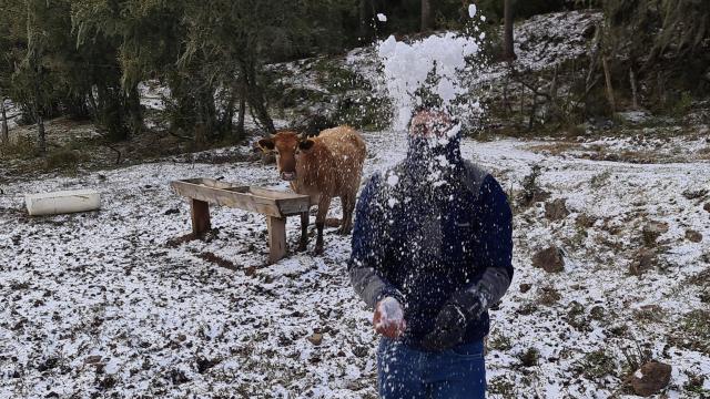 6 Surreal Images Showing Rare Snowfall in Tropical Brazil