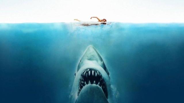 Jaws Musical Bruce Set to Hit the Seattle Stage Next Year