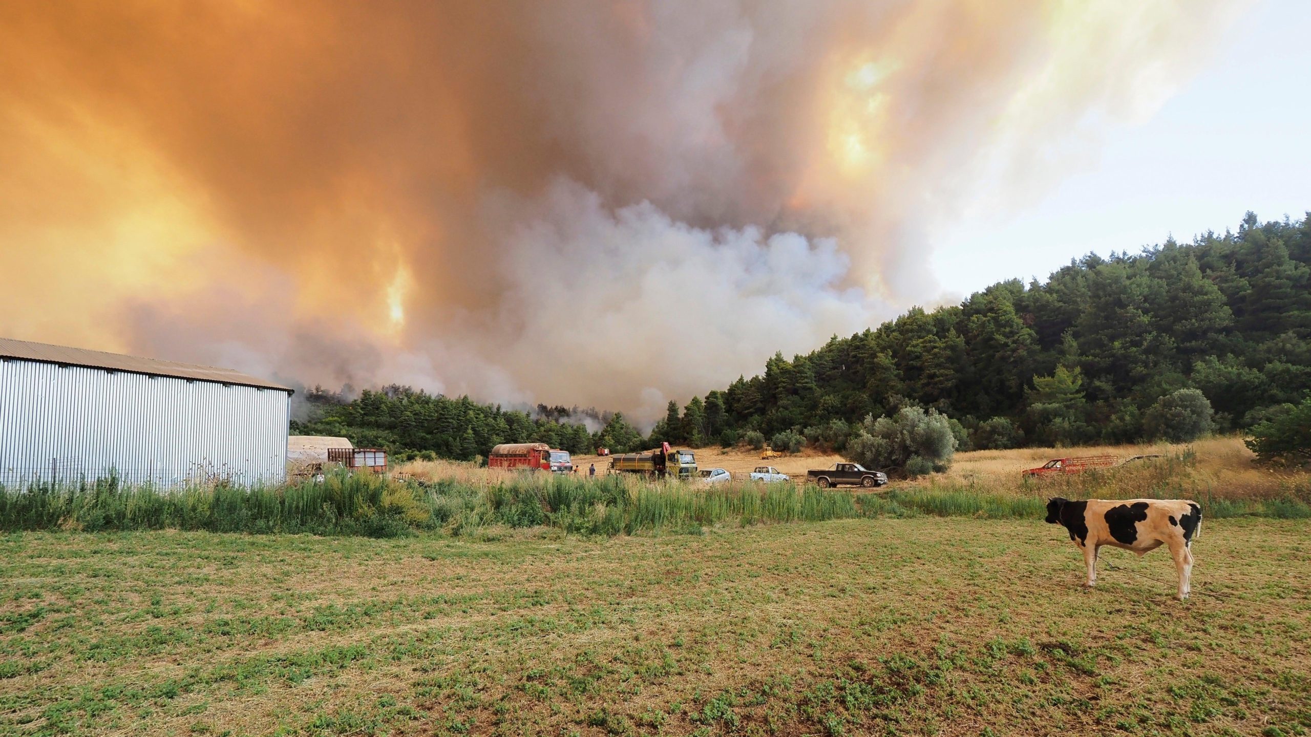 Flames burn on a mountain during a wildfire near Limni village on the island of Evia. (Photo: Thodoris Nikolaou, AP)