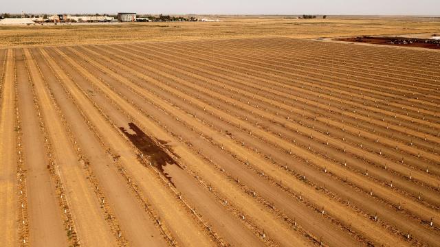 How the California Megadrought Is Affecting U.S. Food Prices