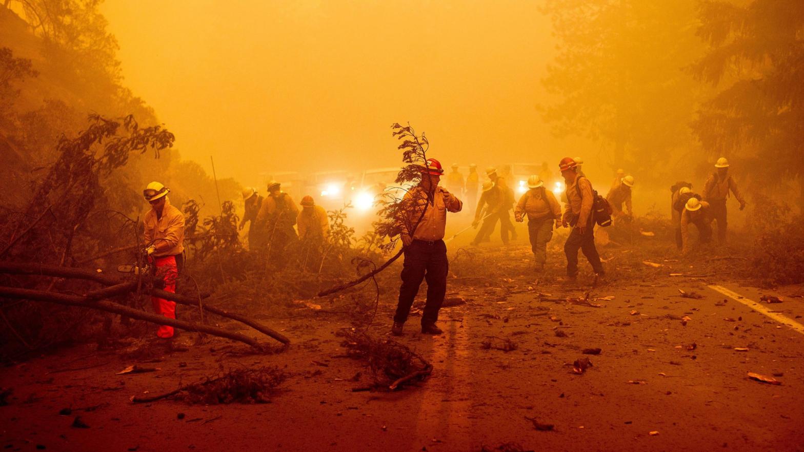 Firefighters battling the Dixie Fire clear Highway 89 after a burned tree fell across the roadway in Plumas County. (Photo: Noah Berger, AP)