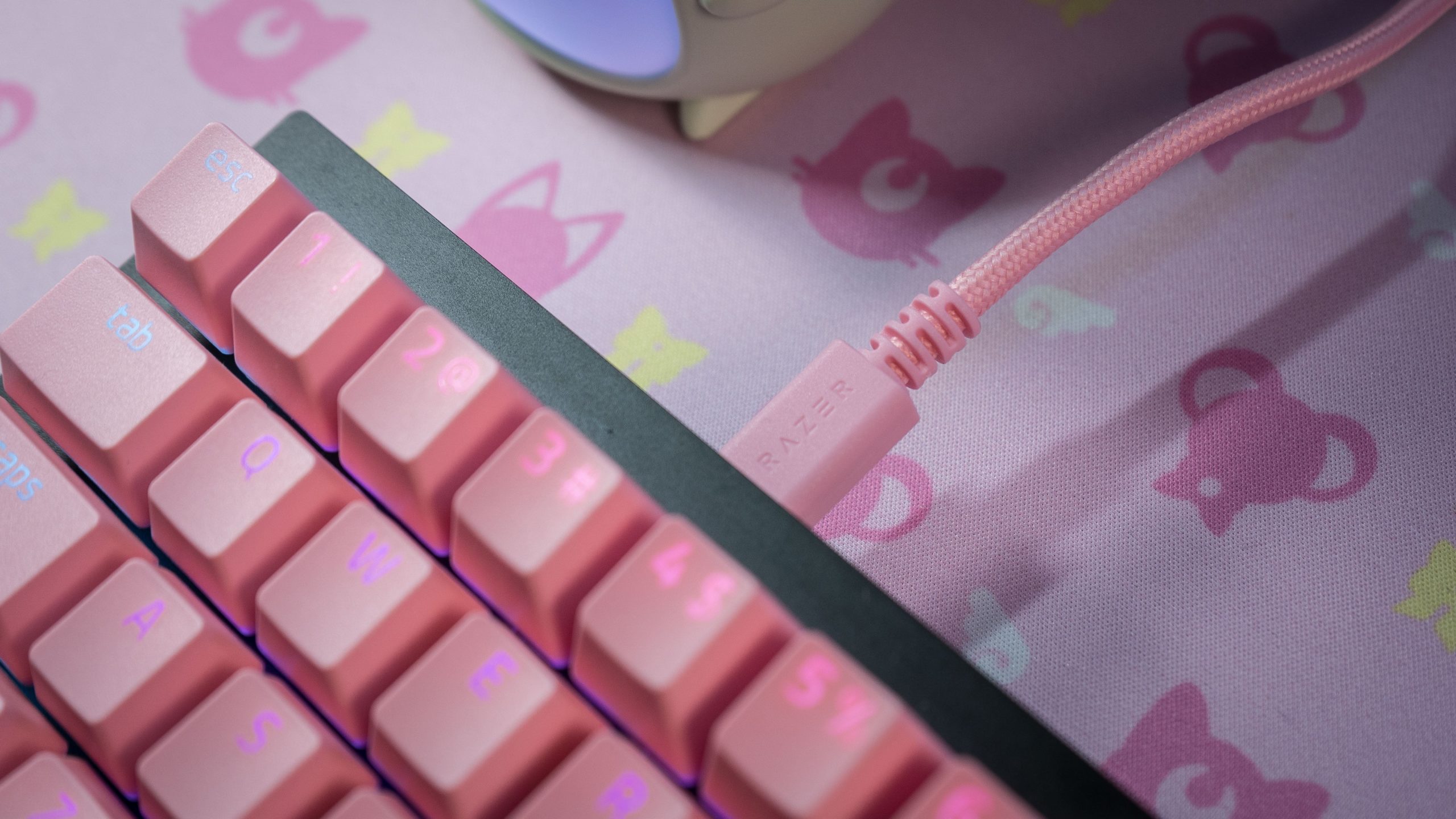 Razer's pink coiled cable is a slightly different tone of pink compared to the keycaps.  (Photo: Florence Ion / Gizmodo)