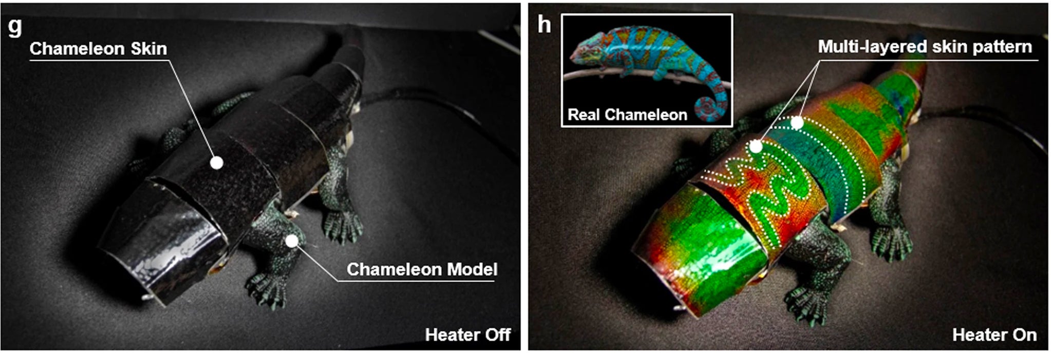 This Colour-Changing Robo-Chameleon Is Cool Because Now Robots Can Hide From Us