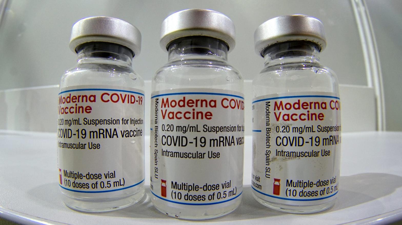 Vials of the Moderna covid-19 vaccine. (Image: Michael Sohn, AP)