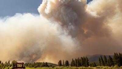 Exposure to Wildfire Smoke May Increase Risk of Dying from Covid-19