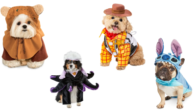 Disney’s New Halloween Pet Costumes, Ranked