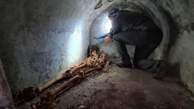Discovery of Partially Mummified Pompeii Resident Reveals a ‘Rags to Riches’ Tale