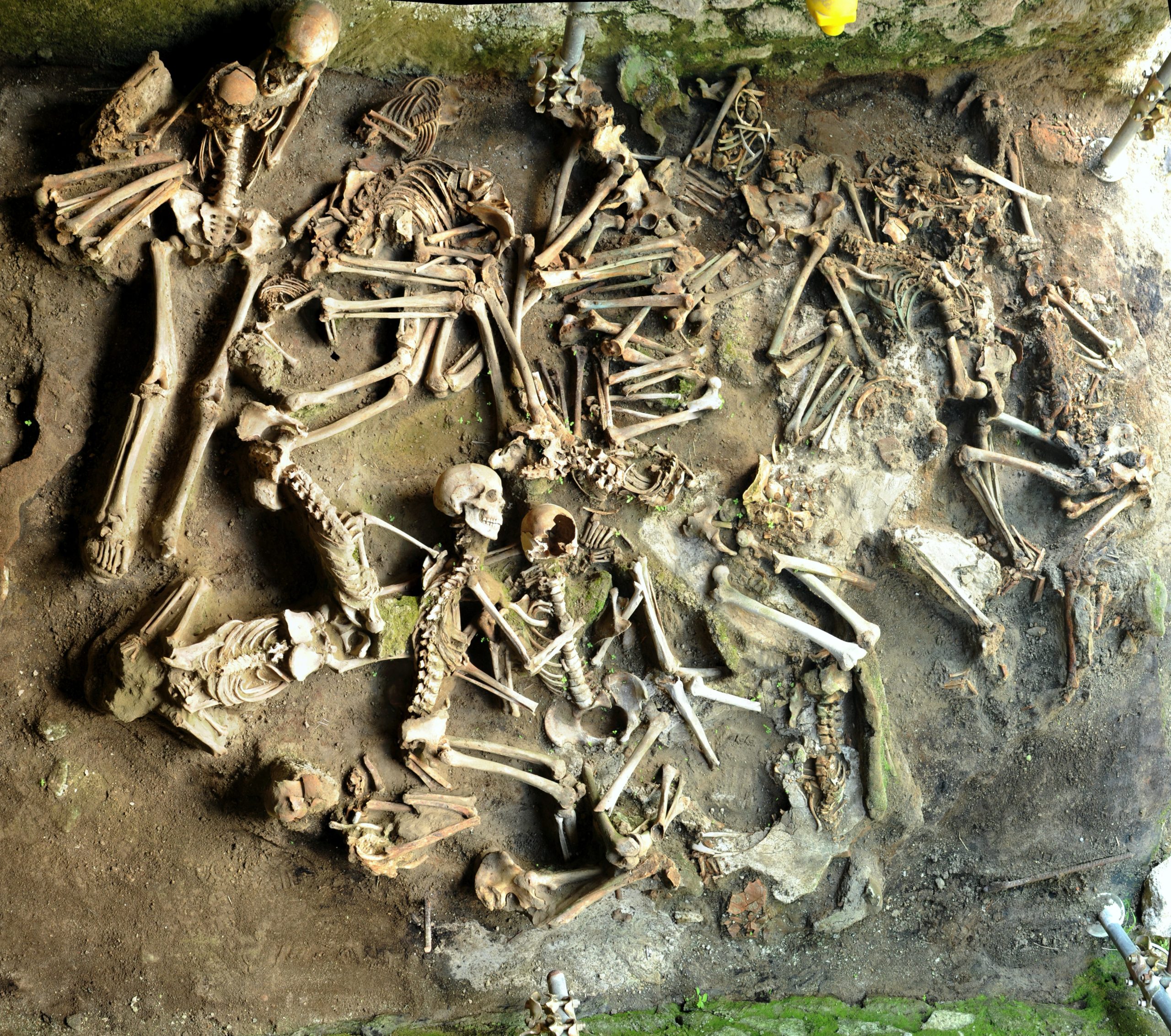 2,000-Year-Old Bones of Mt. Vesuvius Victims Reveal What They Ate