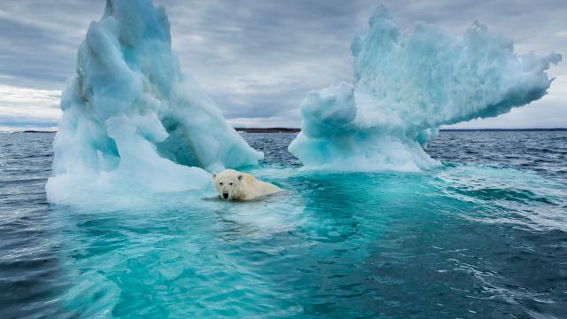 This AI Can Predict Exactly Where Melting Arctic Ice Will End Up