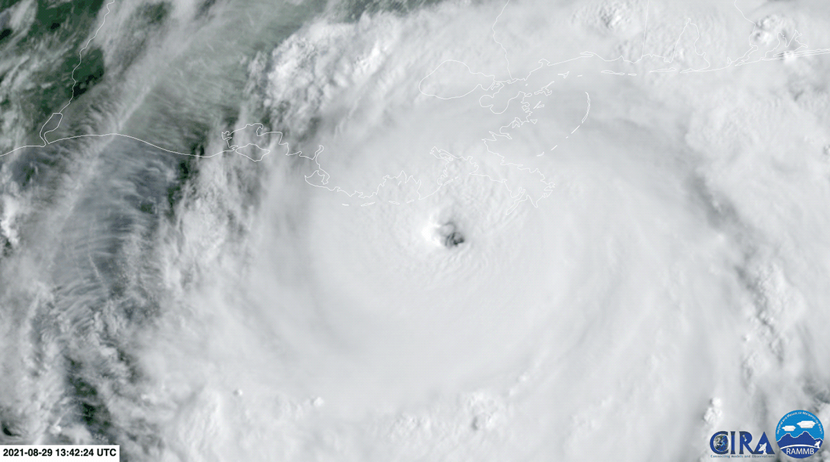 Hurricane Ida as it approaches the Louisiana coast as a Category 4 hurricane. (Gif: NOAA/CIRA)