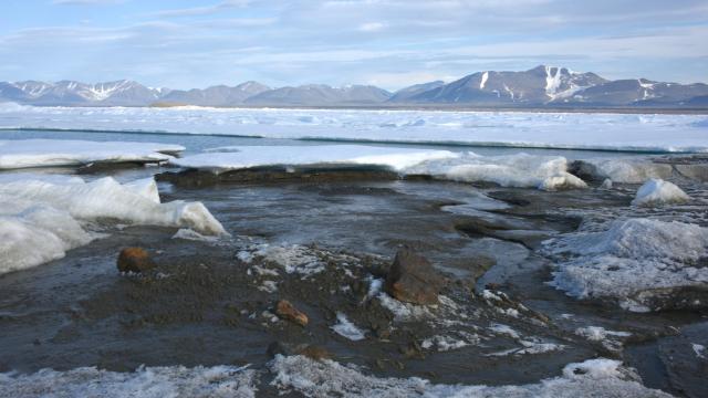 New Northernmost Island Discovered Above Greenland