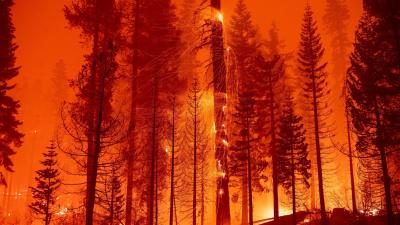 The Caldor Fire Has Taken an Ominous Turn Toward Lake Tahoe