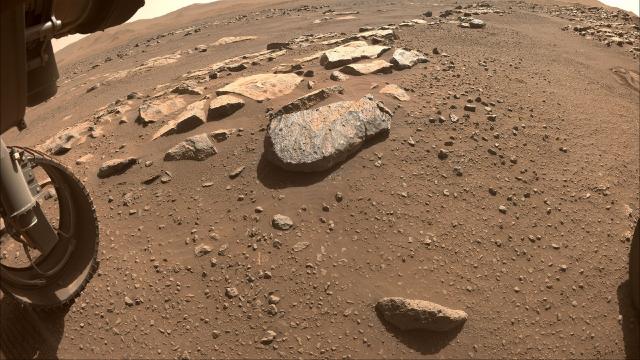 NASA Confirms Perseverance Has Collected Its First Piece of Mars (For Real This Time)