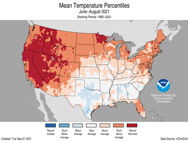 A map of temperature anomalies from June to August. (Image: NOAA)