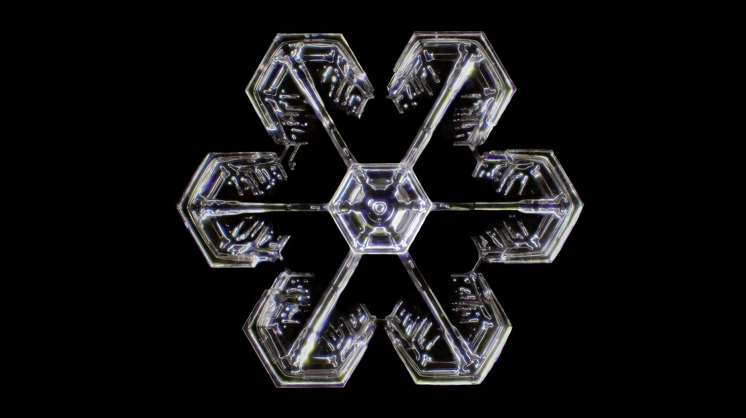 A snowflake at 4-times magnification. (Image: Joern N. Hopke)