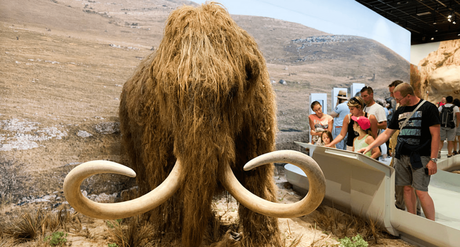 woolly mammoth crispr