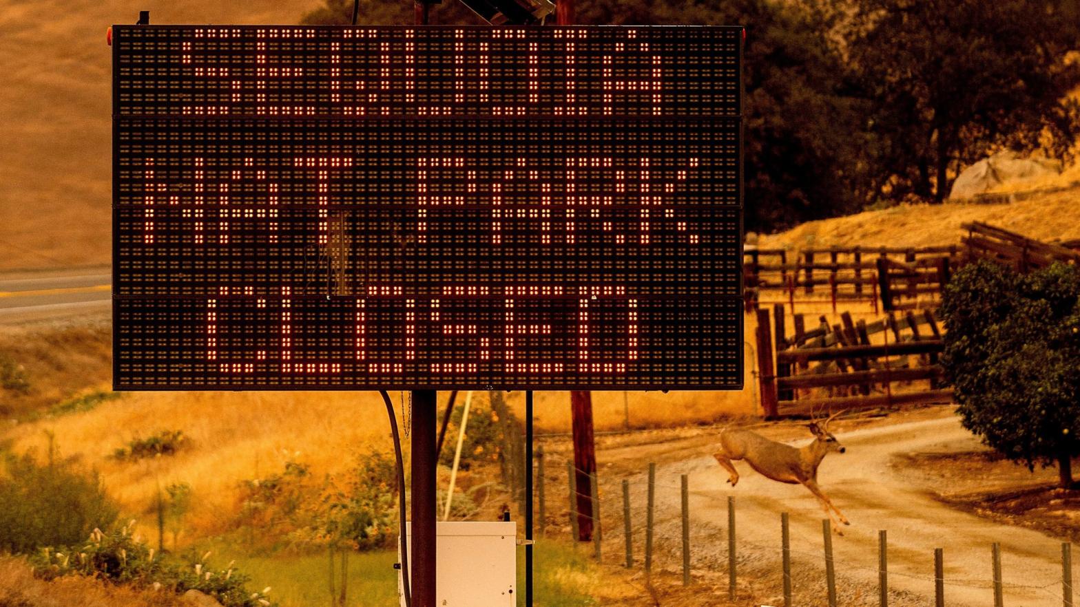A sign announces the closure of Sequoia National Park, where the KNP Complex Fires are burning, Tuesday, Sept. 14, 2021, in Tulare County, Calif. (Photo: Noah Berger, AP)