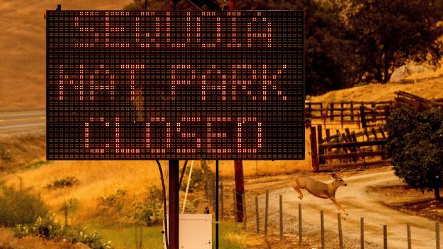 Sequoia National Park Closes as Wildfires Threaten Some of the Largest Trees on Earth