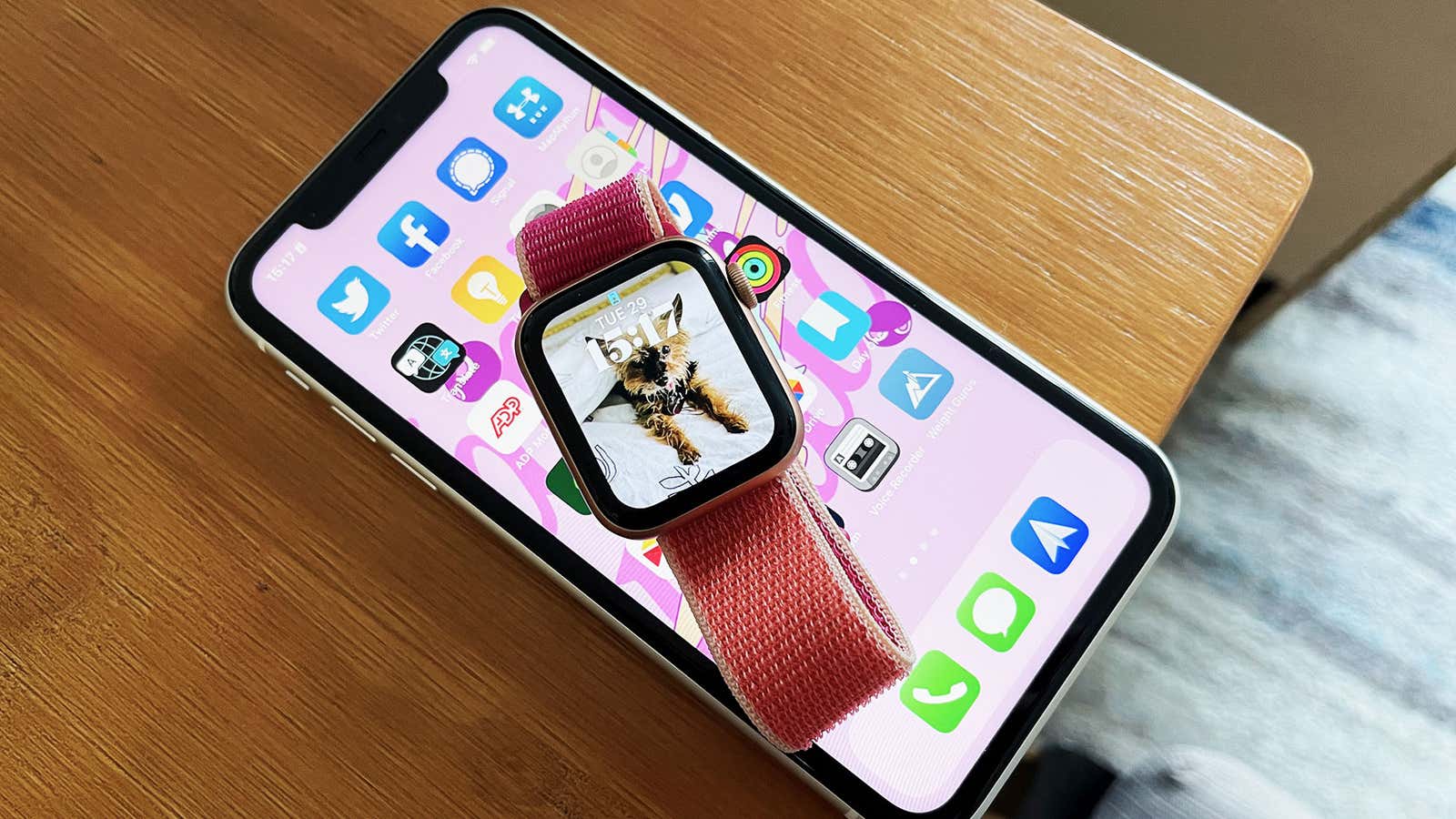watchOS 8 adds a new Portrait Mode watch face for Apple Watches. (Photo: Victoria Song/Gizmodo)