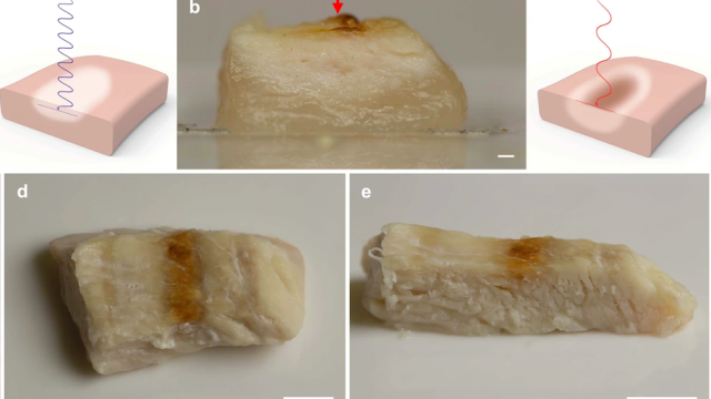 Engineers Cook 3D-Printed Chicken With Lasers