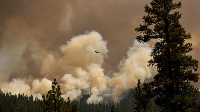 Summer Wildfires Emitted More Carbon Dioxide Than India Does in a Year