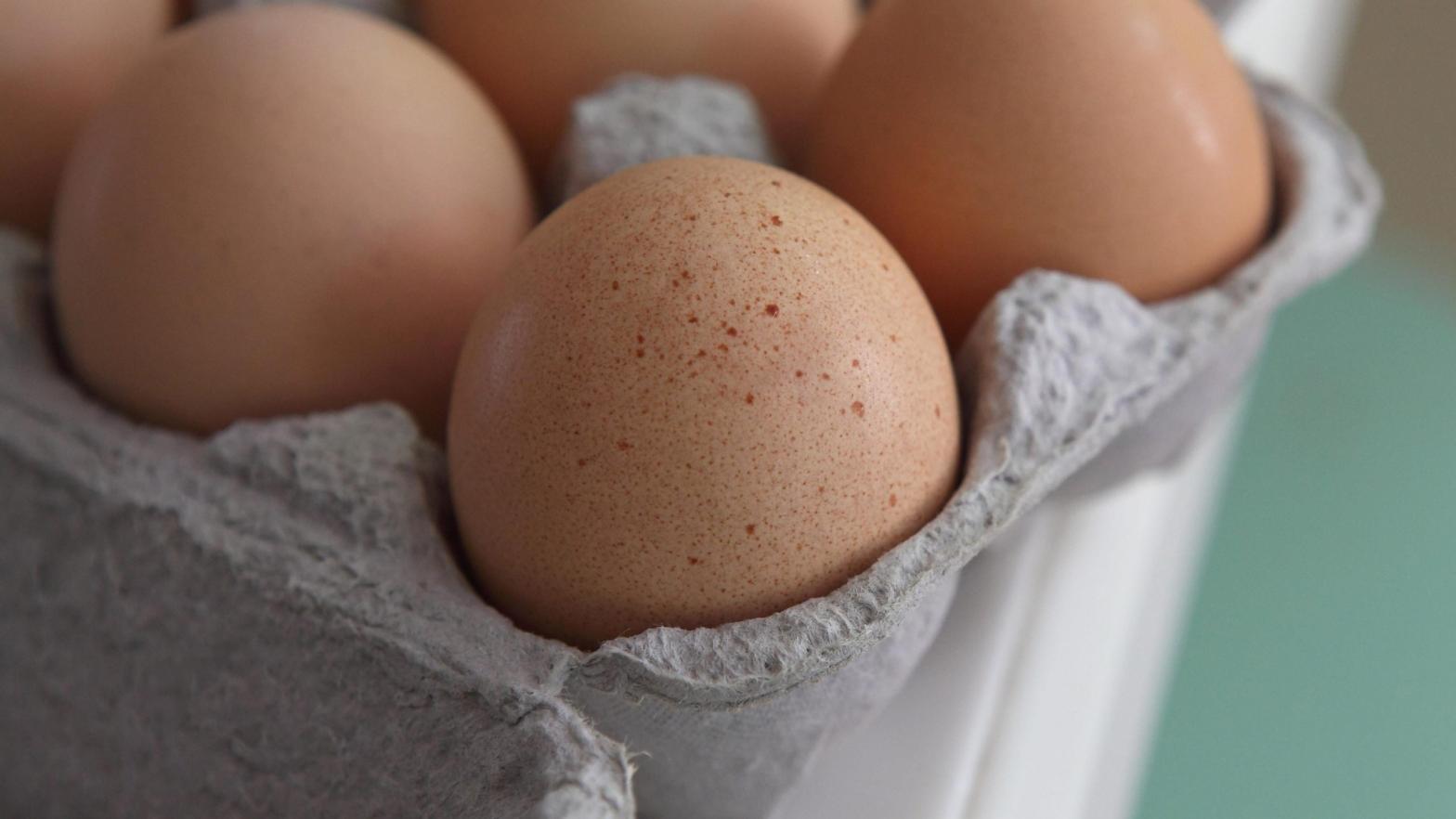 Eggs tend to be a common source of Salmonella outbreaks, though many foods and animals can spread it as well.  (Photo: Justin Sullivan, Getty Images)