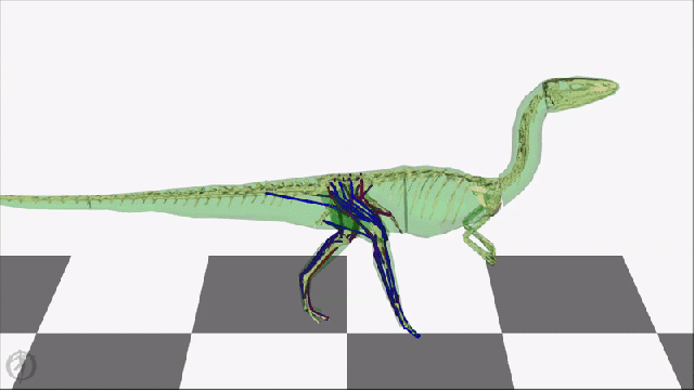 Some Dinosaurs May Have Swung Their Tails to Walk
