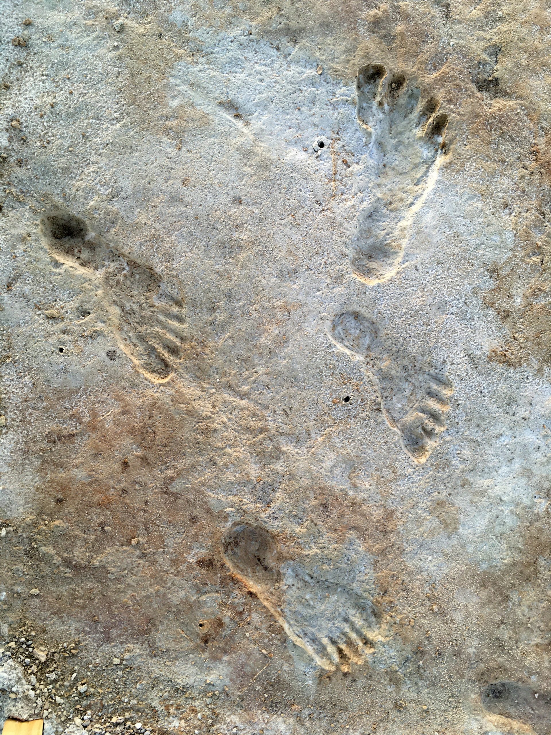 Footprints at the site (Photo: National Park Service, USGS, and Bournemouth University)