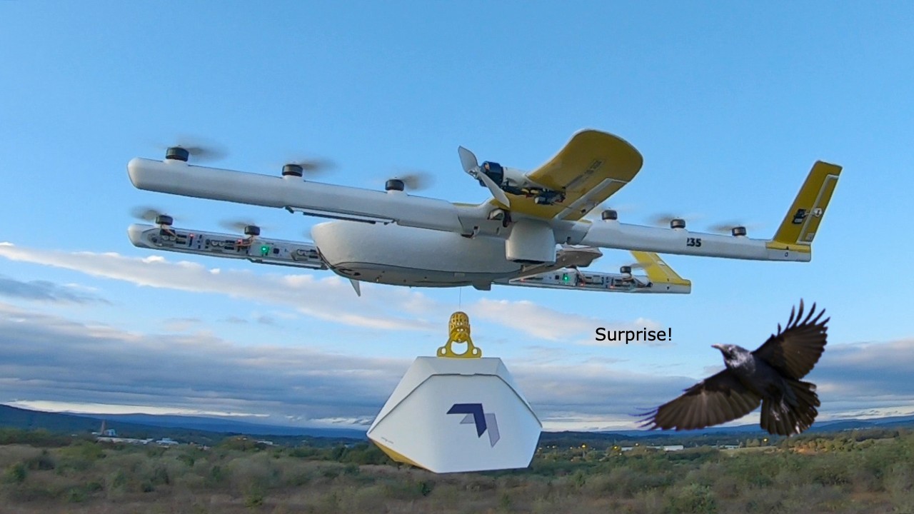 wing drone delivery ravens canberra