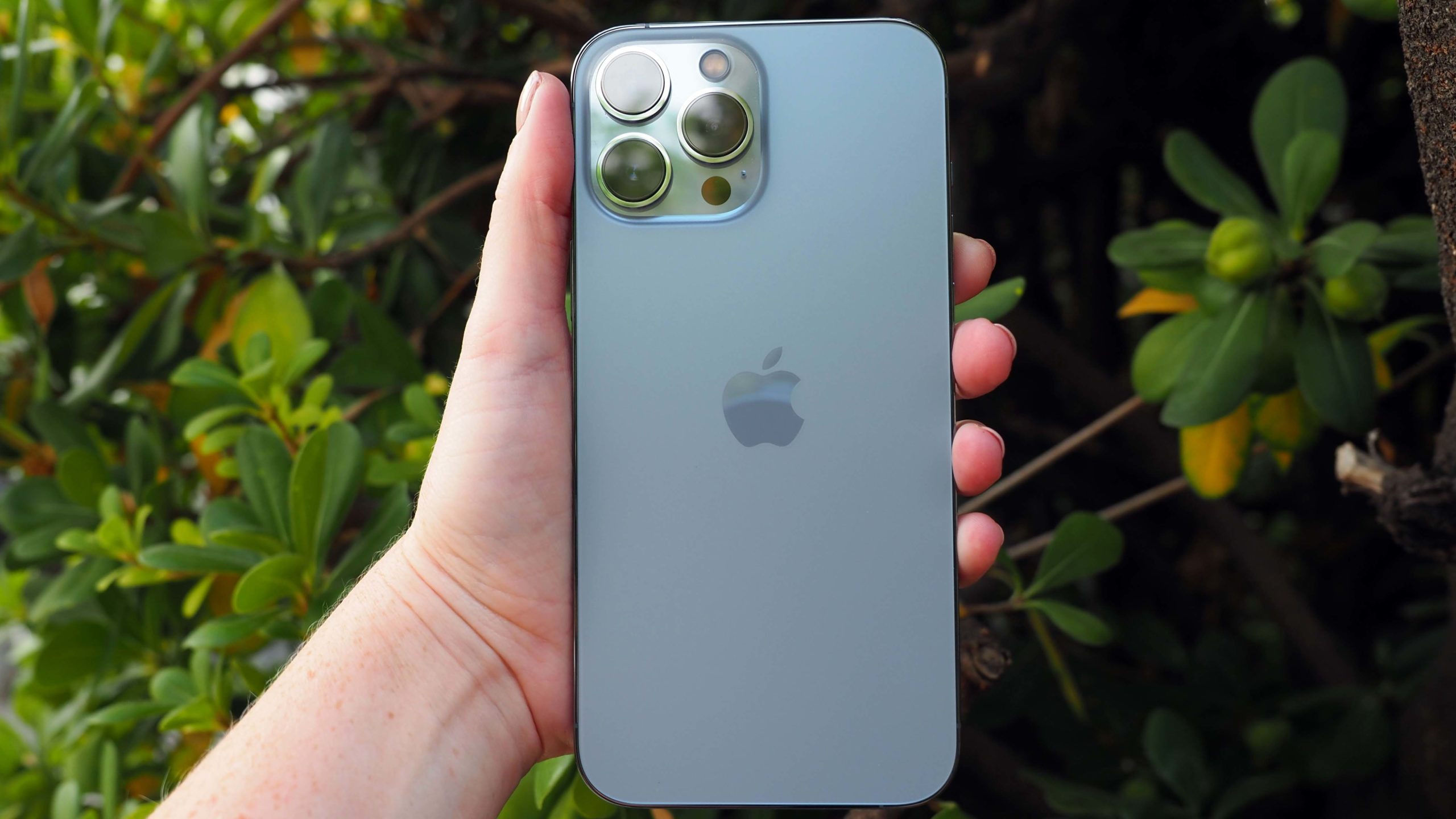 The new Sierra Blue is the only interesting 13 Pro shade. (Photo: Caitlin McGarry/Gizmodo)
