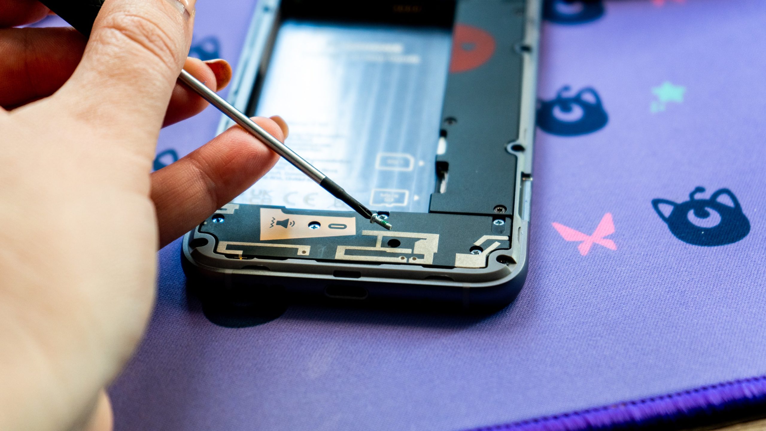It's almost way too easy to remove screws from inside the Fairphone 4, but I suppose that's the point!  (Photo: Florence Ion / Gizmodo)