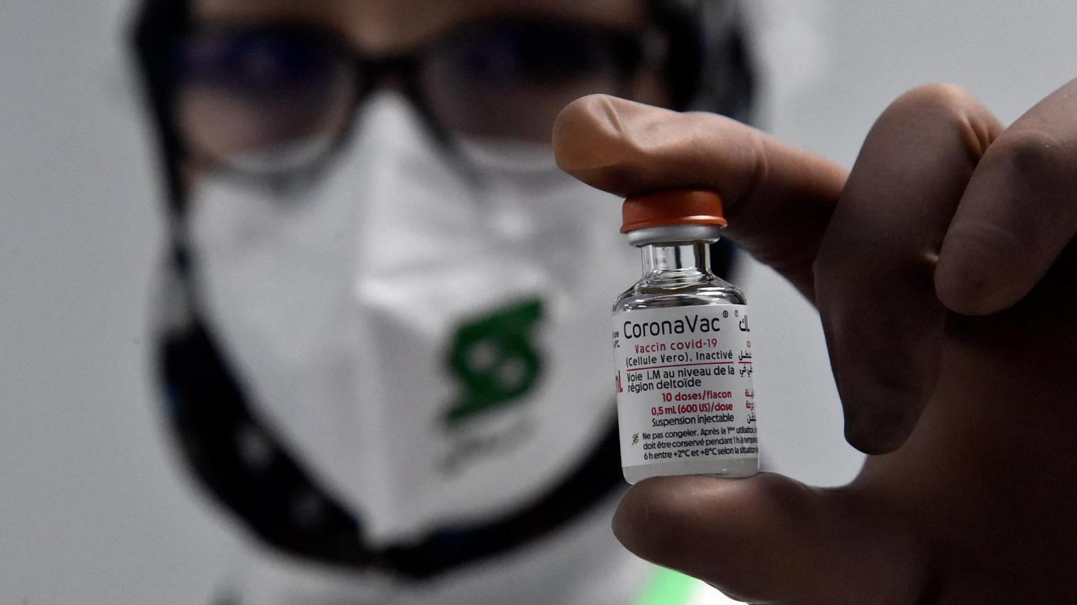 A lab technician from pharma company Saidal showing a vial of the Sinovac vaccine for the novel coronavirus in Constantine, Algeria, in September 2021. (Photo: Ryad Kramdi / AFP, Getty Images)